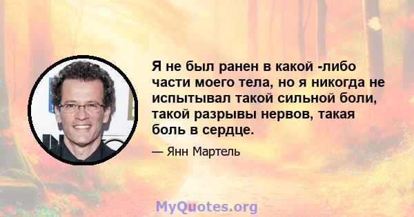 Я не был ранен в какой -либо части моего тела, но я никогда не испытывал такой сильной боли, такой разрывы нервов, такая боль в сердце.