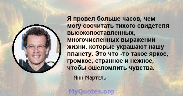 Я провел больше часов, чем могу сосчитать тихого свидетеля высокопоставленных, многочисленных выражений жизни, которые украшают нашу планету. Это что -то такое яркое, громкое, странное и нежное, чтобы ошеломлить чувства.