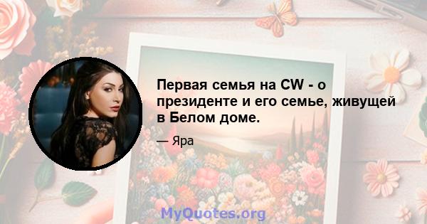 Первая семья на CW - о президенте и его семье, живущей в Белом доме.