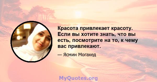 Красота привлекает красоту. Если вы хотите знать, что вы есть, посмотрите на то, к чему вас привлекают.