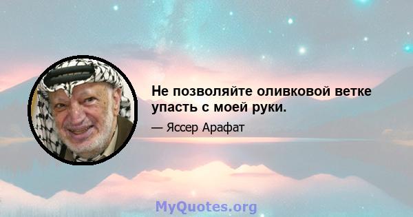 Не позволяйте оливковой ветке упасть с моей руки.