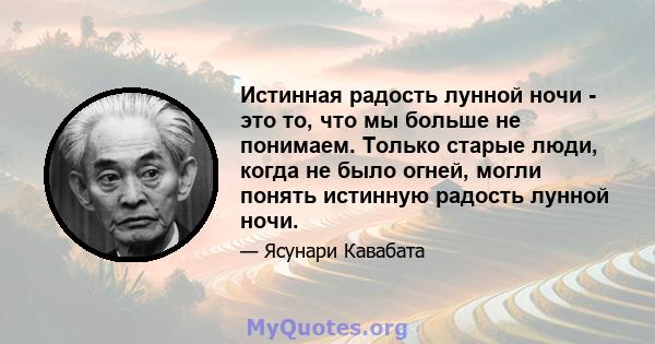 Истинная радость лунной ночи - это то, что мы больше не понимаем. Только старые люди, когда не было огней, могли понять истинную радость лунной ночи.