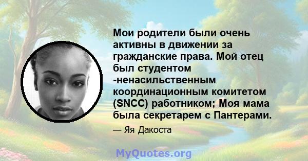 Мои родители были очень активны в движении за гражданские права. Мой отец был студентом -ненасильственным координационным комитетом (SNCC) работником; Моя мама была секретарем с Пантерами.