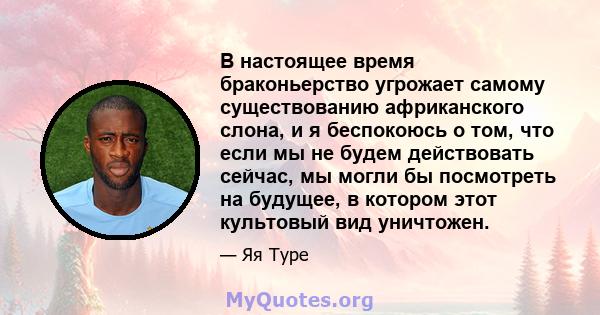 В настоящее время браконьерство угрожает самому существованию африканского слона, и я беспокоюсь о том, что если мы не будем действовать сейчас, мы могли бы посмотреть на будущее, в котором этот культовый вид уничтожен.