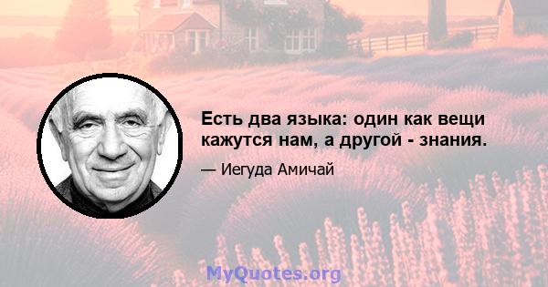 Есть два языка: один как вещи кажутся нам, а другой - знания.