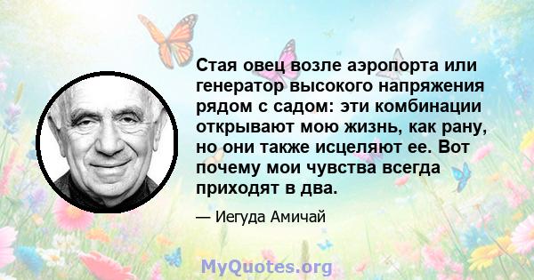 Стая овец возле аэропорта или генератор высокого напряжения рядом с садом: эти комбинации открывают мою жизнь, как рану, но они также исцеляют ее. Вот почему мои чувства всегда приходят в два.