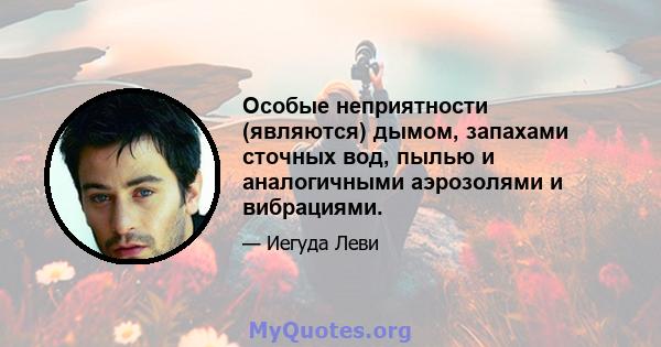 Особые неприятности (являются) дымом, запахами сточных вод, пылью и аналогичными аэрозолями и вибрациями.