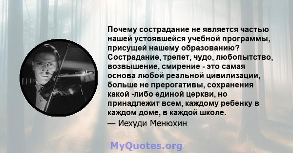 Почему сострадание не является частью нашей устоявшейся учебной программы, присущей нашему образованию? Сострадание, трепет, чудо, любопытство, возвышение, смирение - это самая основа любой реальной цивилизации, больше