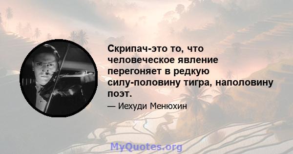 Скрипач-это то, что человеческое явление перегоняет в редкую силу-половину тигра, наполовину поэт.