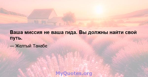 Ваша миссия не ваша гида. Вы должны найти свой путь.