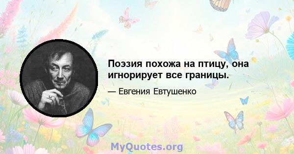 Поэзия похожа на птицу, она игнорирует все границы.