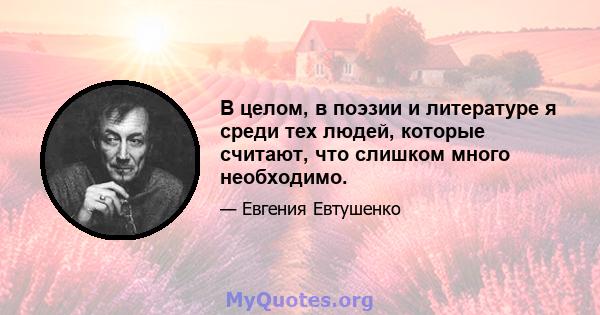 В целом, в поэзии и литературе я среди тех людей, которые считают, что слишком много необходимо.