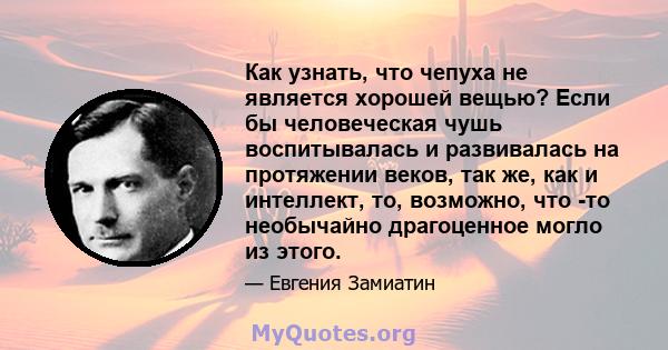 Как узнать, что чепуха не является хорошей вещью? Если бы человеческая чушь воспитывалась и развивалась на протяжении веков, так же, как и интеллект, то, возможно, что -то необычайно драгоценное могло из этого.