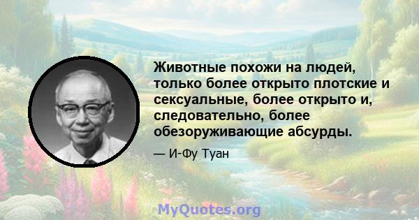 Животные похожи на людей, только более открыто плотские и сексуальные, более открыто и, следовательно, более обезоруживающие абсурды.