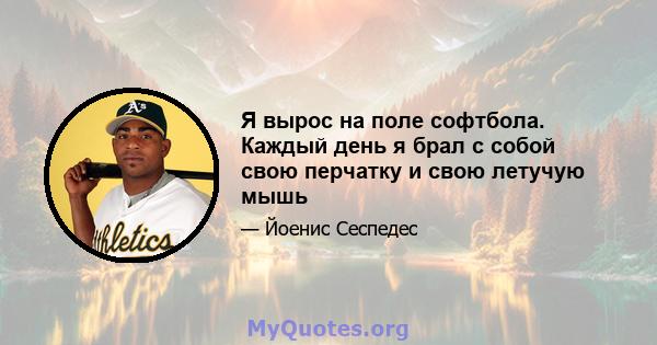 Я вырос на поле софтбола. Каждый день я брал с собой свою перчатку и свою летучую мышь