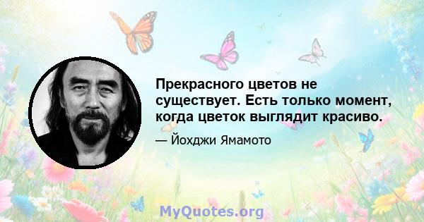 Прекрасного цветов не существует. Есть только момент, когда цветок выглядит красиво.