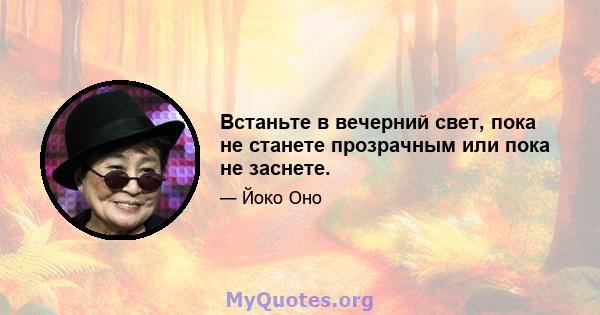 Встаньте в вечерний свет, пока не станете прозрачным или пока не заснете.