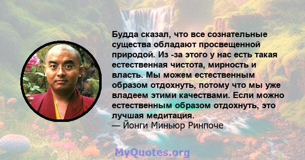 Будда сказал, что все сознательные существа обладают просвещенной природой. Из -за этого у нас есть такая естественная чистота, мирность и власть. Мы можем естественным образом отдохнуть, потому что мы уже владеем этими 