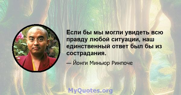 Если бы мы могли увидеть всю правду любой ситуации, наш единственный ответ был бы из сострадания.