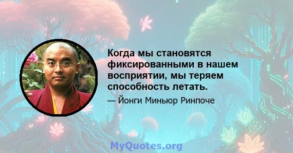 Когда мы становятся фиксированными в нашем восприятии, мы теряем способность летать.