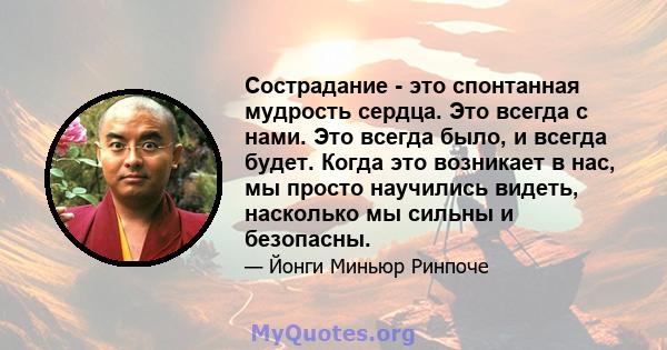 Сострадание - это спонтанная мудрость сердца. Это всегда с нами. Это всегда было, и всегда будет. Когда это возникает в нас, мы просто научились видеть, насколько мы сильны и безопасны.