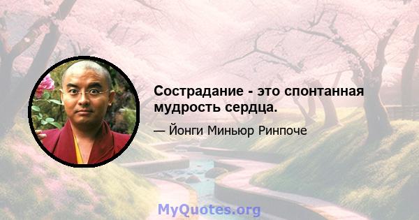 Сострадание - это спонтанная мудрость сердца.