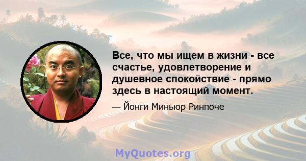 Все, что мы ищем в жизни - все счастье, удовлетворение и душевное спокойствие - прямо здесь в настоящий момент.