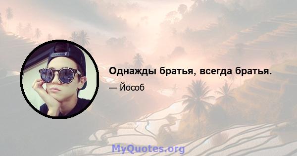 Однажды братья, всегда братья.