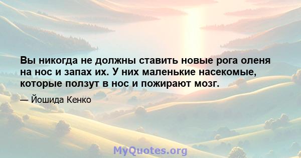 Вы никогда не должны ставить новые рога оленя на нос и запах их. У них маленькие насекомые, которые ползут в нос и пожирают мозг.