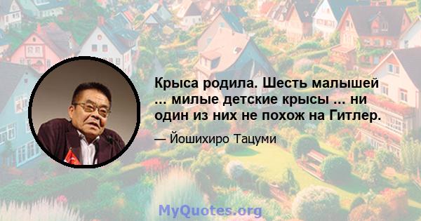 Крыса родила. Шесть малышей ... милые детские крысы ... ни один из них не похож на Гитлер.