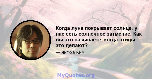 Когда луна покрывает солнце, у нас есть солнечное затмение. Как вы это называете, когда птицы это делают?