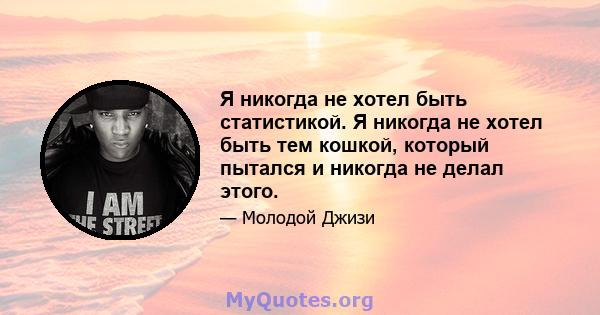 Я никогда не хотел быть статистикой. Я никогда не хотел быть тем кошкой, который пытался и никогда не делал этого.