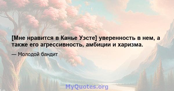 [Мне нравится в Канье Уэсте] уверенность в нем, а также его агрессивность, амбиции и харизма.