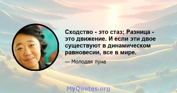 Сходство - это стаз; Разница - это движение. И если эти двое существуют в динамическом равновесии, все в мире.