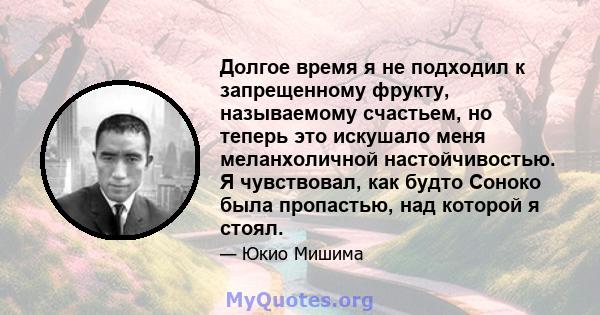 Долгое время я не подходил к запрещенному фрукту, называемому счастьем, но теперь это искушало меня меланхоличной настойчивостью. Я чувствовал, как будто Соноко была пропастью, над которой я стоял.