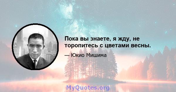 Пока вы знаете, я жду, не торопитесь с цветами весны.