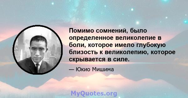 Помимо сомнений, было определенное великолепие в боли, которое имело глубокую близость к великолепию, которое скрывается в силе.