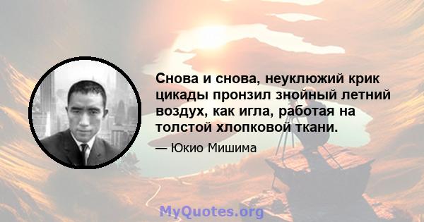 Снова и снова, неуклюжий крик цикады пронзил знойный летний воздух, как игла, работая на толстой хлопковой ткани.