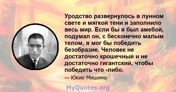 Уродство развернулось в лунном свете и мягкой тени и заполнило весь мир. Если бы я был амебой, подумал он, с бесконечно малым телом, я мог бы победить безобразие. Человек не достаточно крошечный и не достаточно