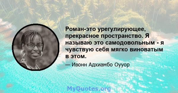 Роман-это урегулирующее, прекрасное пространство. Я называю это самодовольным - я чувствую себя мягко виноватым в этом.