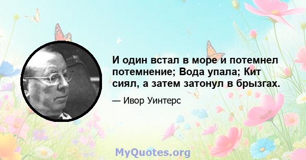 И один встал в море и потемнел потемнение; Вода упала; Кит сиял, а затем затонул в брызгах.