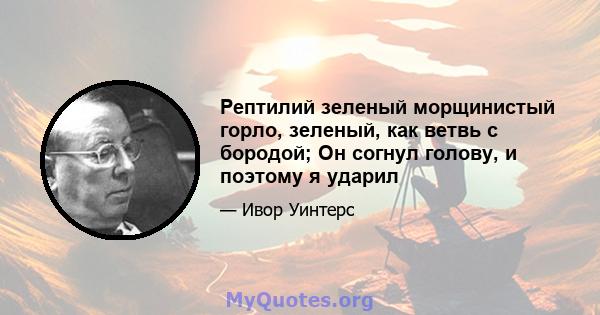 Рептилий зеленый морщинистый горло, зеленый, как ветвь с бородой; Он согнул голову, и поэтому я ударил