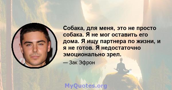 Собака, для меня, это не просто собака. Я не мог оставить его дома. Я ищу партнера по жизни, и я не готов. Я недостаточно эмоционально зрел.