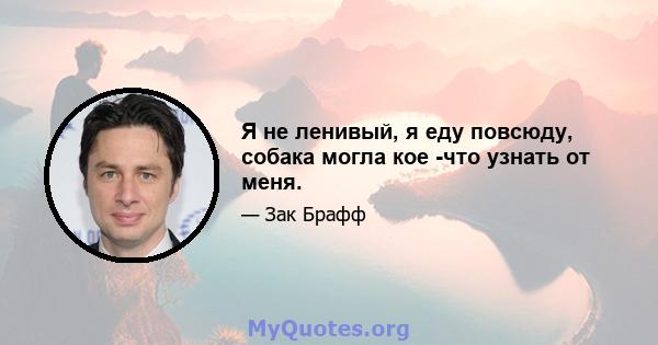 Я не ленивый, я еду повсюду, собака могла кое -что узнать от меня.