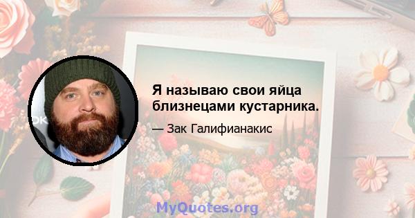 Я называю свои яйца близнецами кустарника.