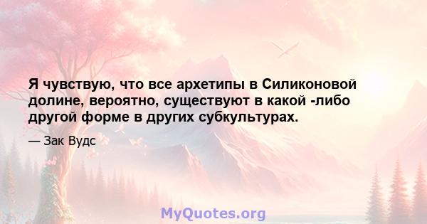 Я чувствую, что все архетипы в Силиконовой долине, вероятно, существуют в какой -либо другой форме в других субкультурах.