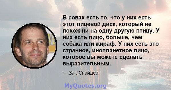 В совах есть то, что у них есть этот лицевой диск, который не похож ни на одну другую птицу. У них есть лицо, больше, чем собака или жираф. У них есть это странное, инопланетное лицо, которое вы можете сделать