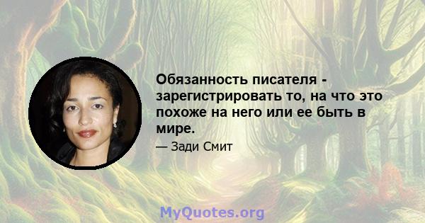 Обязанность писателя - зарегистрировать то, на что это похоже на него или ее быть в мире.