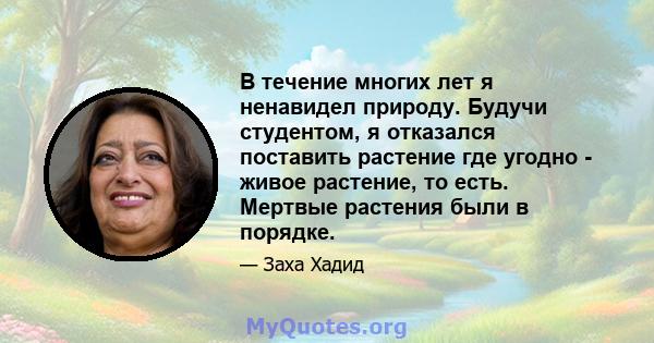 В течение многих лет я ненавидел природу. Будучи студентом, я отказался поставить растение где угодно - живое растение, то есть. Мертвые растения были в порядке.