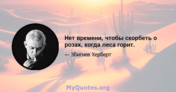 Нет времени, чтобы скорбеть о розах, когда леса горит.